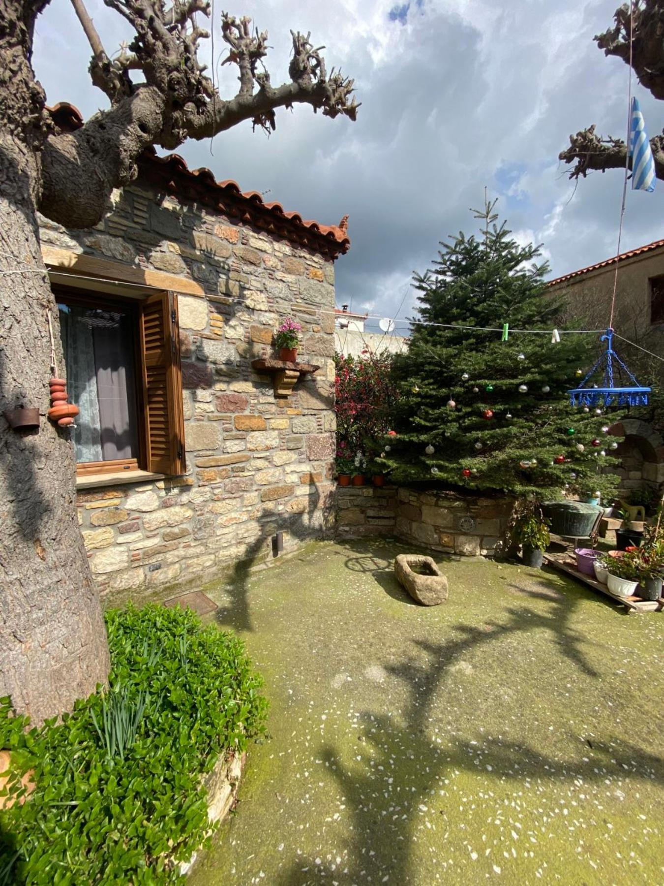 "The Stone" Apartment Agios Vlasios  Exterior photo